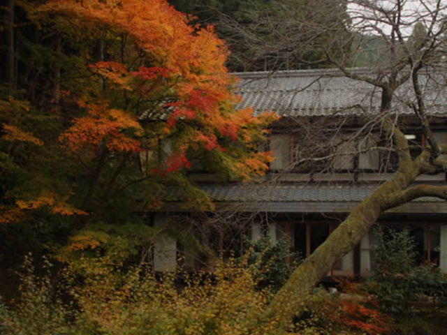 庭は有名庭師に監修と手入れをしていただいています。自然を生かした庭園造りです。_大原温泉湯元京の民宿大原の里