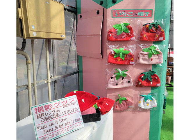 園内では、撮影グッズを無料レンタルしてます。
いちごの帽子をかぶって 冒険にLet's Go!
もちろん 帽子の販売もしております!_strawberry farm まあと工房