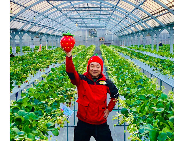 strawberry farm
まあと工房の 創設者 通称『まあとくん。』
元タレントで、いちごのトリセツを 面白おかしく解説しまーす。_strawberry farm まあと工房