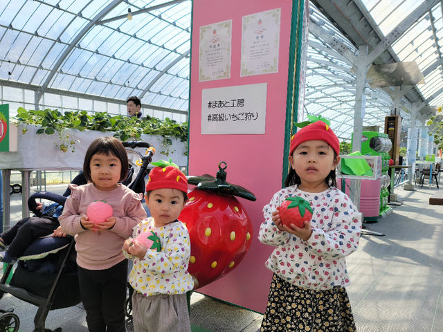 このご時世。子供達の『想い出作り』のお手伝いを、させていただきます(*^^*)_strawberry farm まあと工房