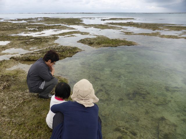 ご家族でお手軽にコースを設定しています。_沖縄本島南部自然体験 なかゆくい