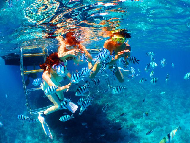 DIVE LIFE OKINAWA