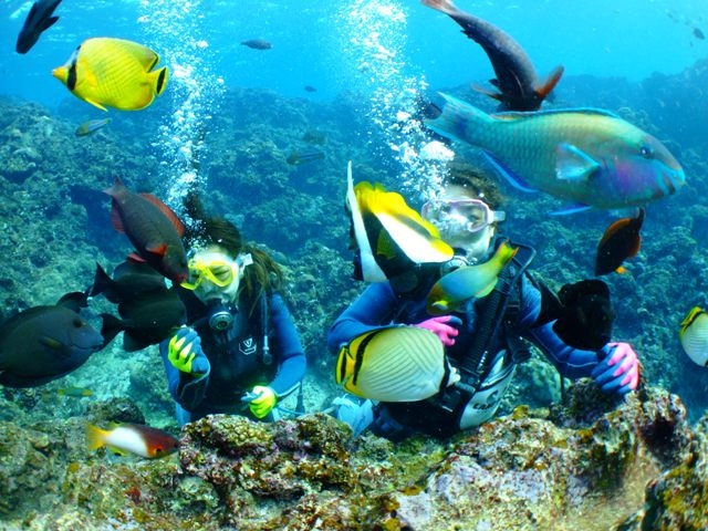 DIVE LIFE OKINAWA