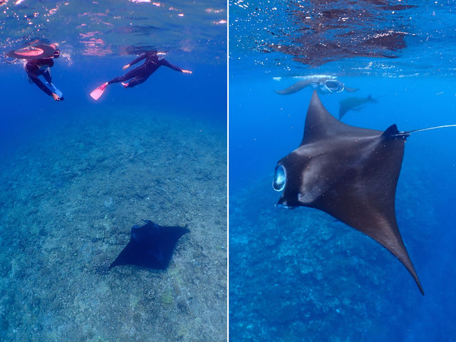 かりほー商店の写真1