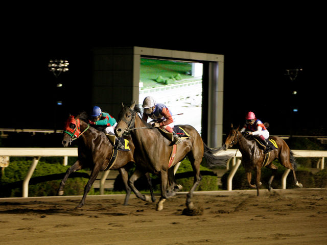 園田競馬場