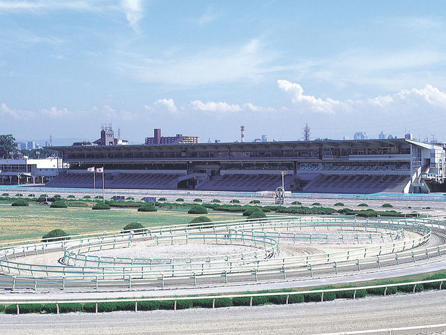 園田競馬場
