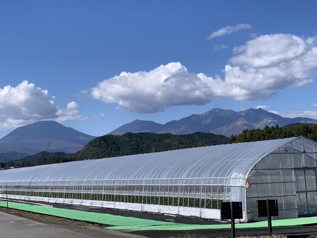 晴れた日の日光連山は絶景☆_日光ストロベリーパーク