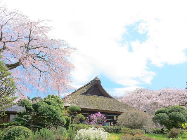 秩父宮記念公園〈春〉_富士山みくりやの旅。