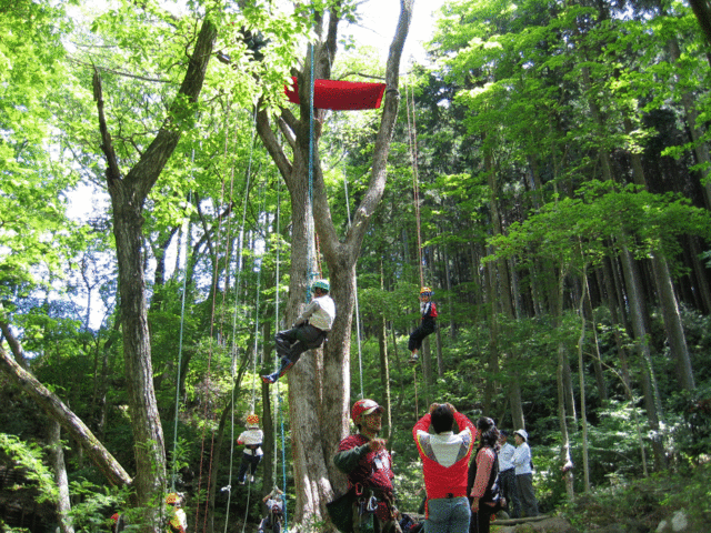 乙女森林公園キャンプ場_富士山みくりやの旅。