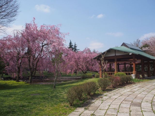 御殿場市都市公園_富士山みくりやの旅。