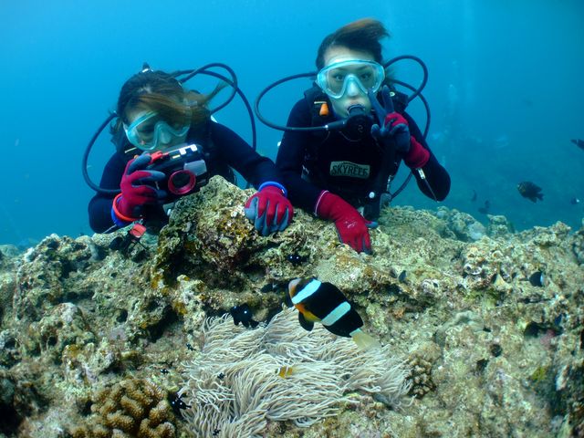 カメラレンタル無料なのでたくさん写真を撮りましょう!_スカイリーフダイバーズ