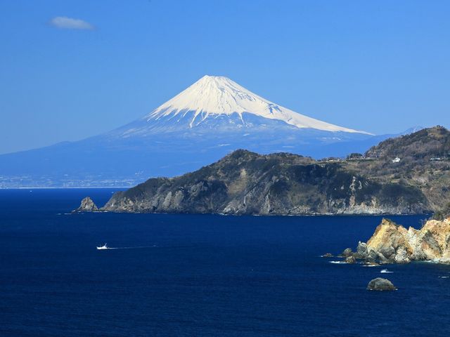アラリマリン