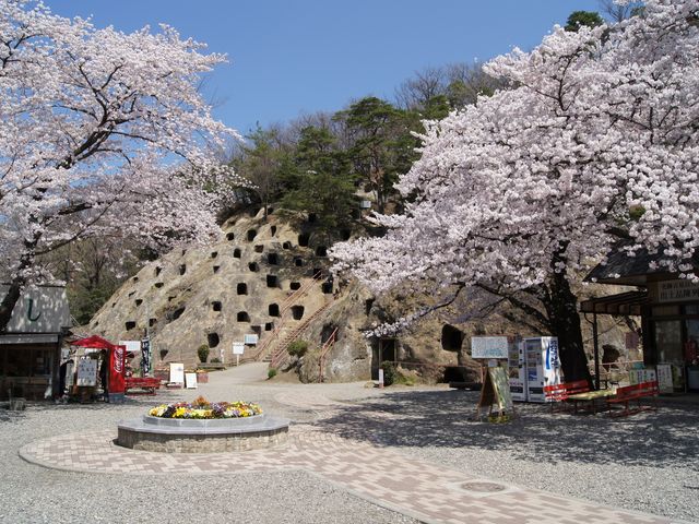 日本一の横穴古墳群「吉見百穴」_吉見町地域振興課