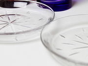 清秀硝子工房の写真2