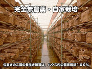 佐倉きのこ園の写真4