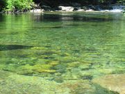 おんたけ湖カヌーツーリングの写真3
