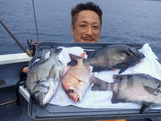 釣船 政美丸の写真2