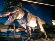 太古レストラン ダイナソーの写真1