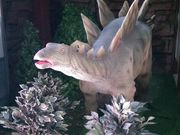 太古レストラン ダイナソーの写真3