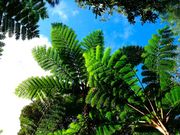 やんばるワンダーランドの写真2