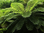 やんばるワンダーランドの写真4