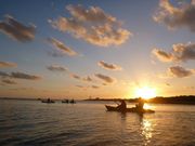 フィールドネイチャー石垣島の写真2