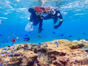 フィールドネイチャー石垣島の写真3