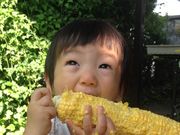 わっぱファームの写真3