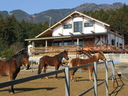 風来里馬小屋の写真3