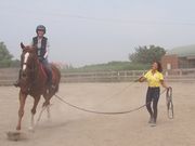 Horse Riding Club BALANCEの写真4