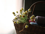 暮らしに添える花たち〜染め花〜の写真3