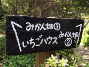 丸鉄園の写真2