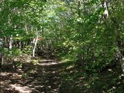 omuche outdoor & sports clubの写真3