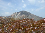 那須アウトバックツアーズの写真3