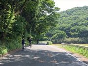 グレートネイチャーツアーズの写真2