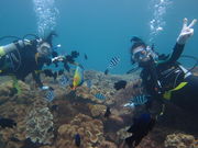 ウォーターボール ダイビングスクールの写真3