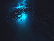 ウォーターボール ダイビングスクールの写真4