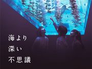 仙台うみの杜水族館の写真2