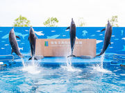 仙台うみの杜水族館の写真4