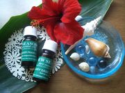 イースターセブン那覇新都心店の写真2