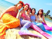 ダイビングショップ SeaFreeの写真2