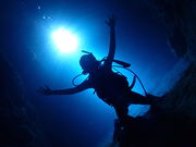 ダイビングショップ SeaFreeの写真3