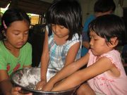 よみたん自然学校の写真2