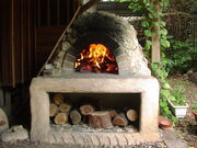 よみたん自然学校の写真3