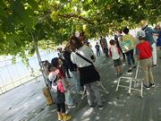 ピアファームぶどう園「あわらベルジェ」の写真3