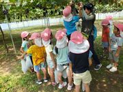 ピアファームぶどう園「あわらベルジェ」の写真4