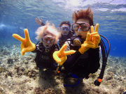 abuku diving & snorkelingの写真4