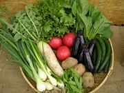 ふるば村自然農園の写真3