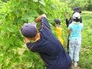 ふるば村自然農園の写真4