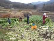 大岡グリーンツーリズム倶楽部の写真3